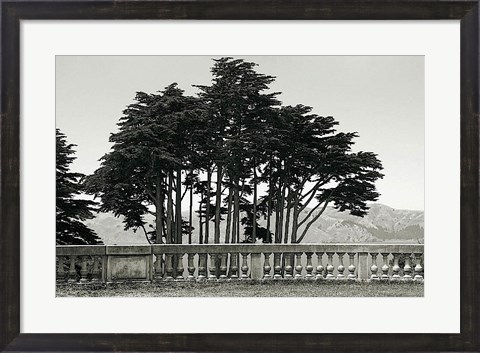 Framed Cypress Trees and Balusters Print