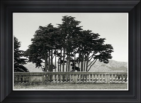 Framed Cypress Trees and Balusters Print