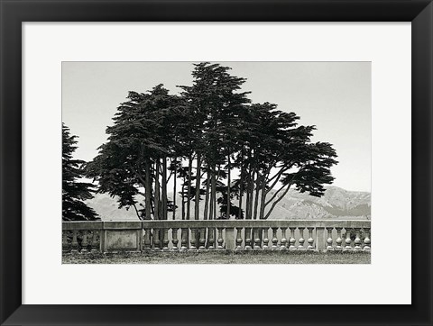 Framed Cypress Trees and Balusters Print