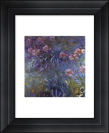 Framed Jewelry lilies Print