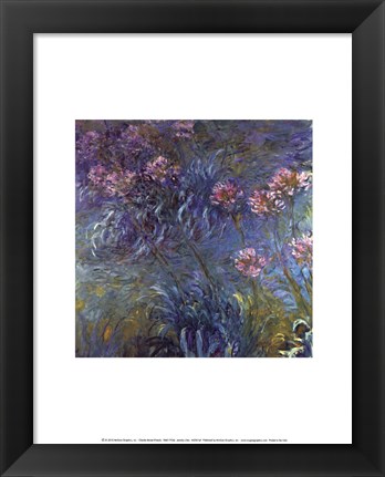 Framed Jewelry lilies Print