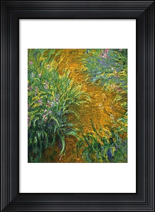 Framed Path in the Iris Garden Print