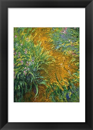 Framed Path in the Iris Garden Print