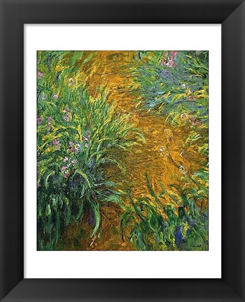 Framed Path in the Iris Garden Print