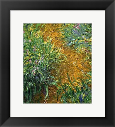 Framed Path in the Iris Garden Print