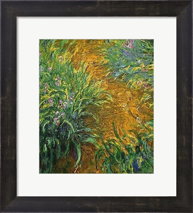 Framed Path in the Iris Garden Print