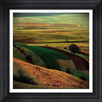 Framed Transylvania Print