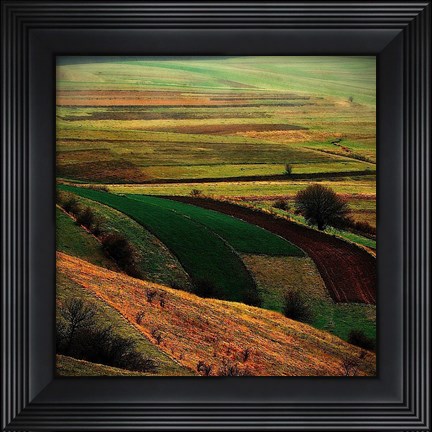 Framed Transylvania Print