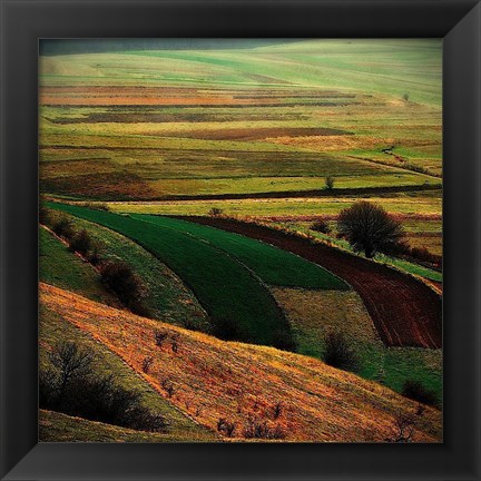 Framed Transylvania Print