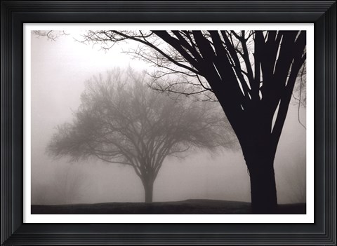 Framed Memories of Winter Print