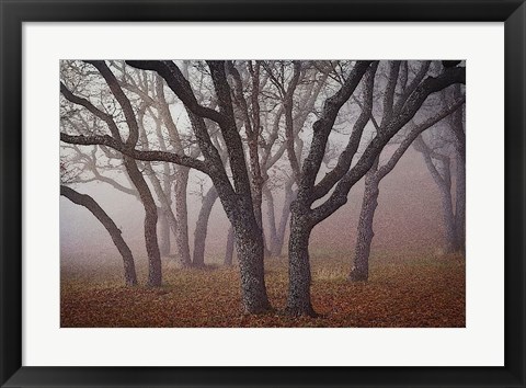 Framed Pilot Road Trees Print