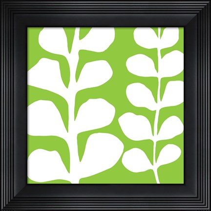 Framed White Fern on Green Print