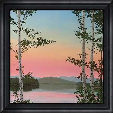 Framed Cooper Sunset Birches Print