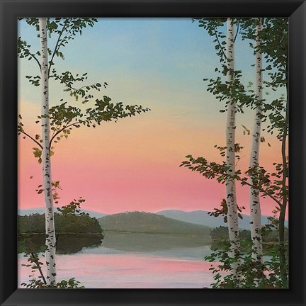 Framed Cooper Sunset Birches Print