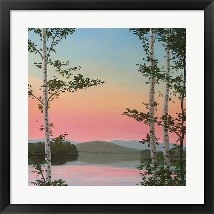 Framed Cooper Sunset Birches Print