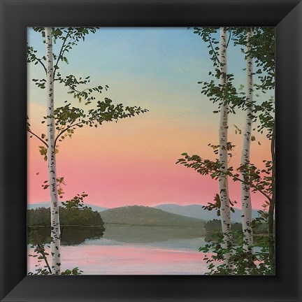 Framed Cooper Sunset Birches Print
