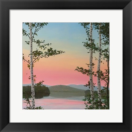 Framed Cooper Sunset Birches Print