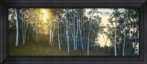 Framed Hillside Birches Print
