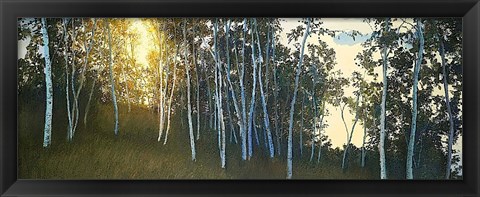 Framed Hillside Birches Print