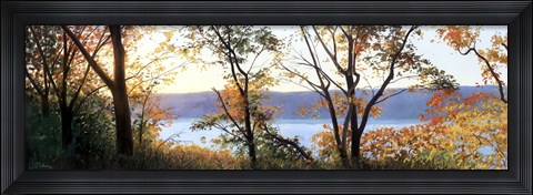 Framed Autumn Scrim Print