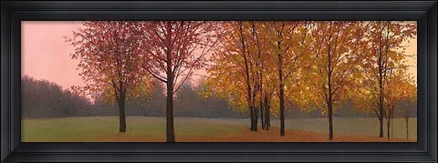 Framed Autumn Dawn, Maples Print