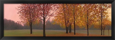 Framed Autumn Dawn, Maples Print