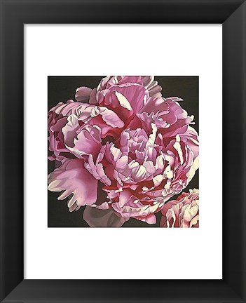 Framed Peony I Print