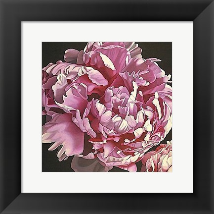 Framed Peony I Print