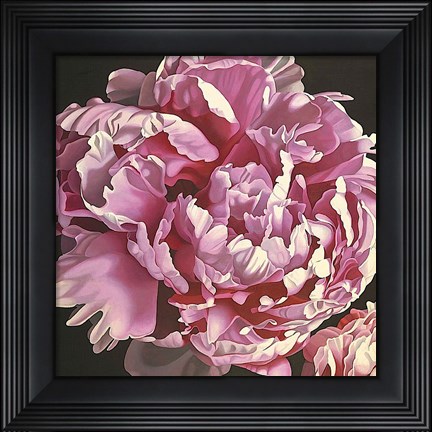 Framed Peony I Print