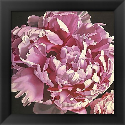 Framed Peony I Print