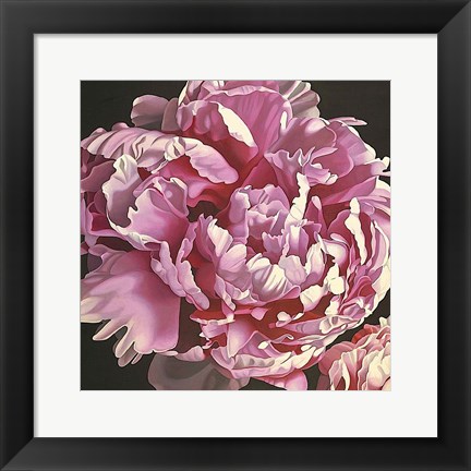 Framed Peony I Print