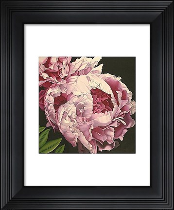 Framed Peony II Print