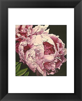 Framed Peony II Print