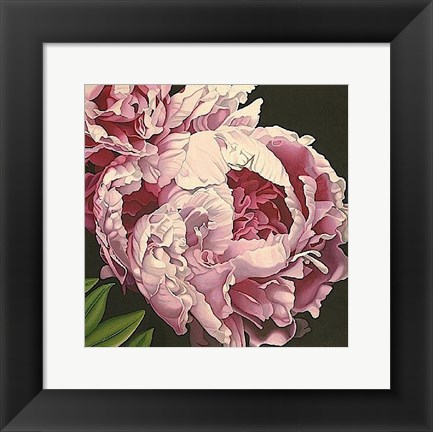 Framed Peony II Print