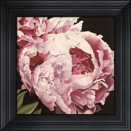 Framed Peony II Print