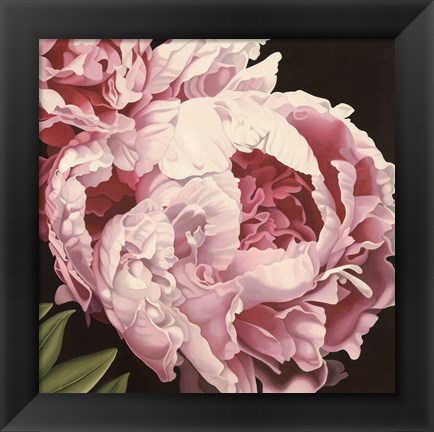 Framed Peony II Print