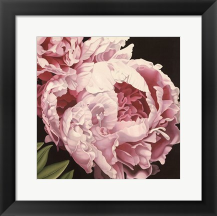 Framed Peony II Print