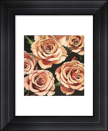 Framed Roses Print