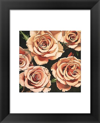 Framed Roses Print