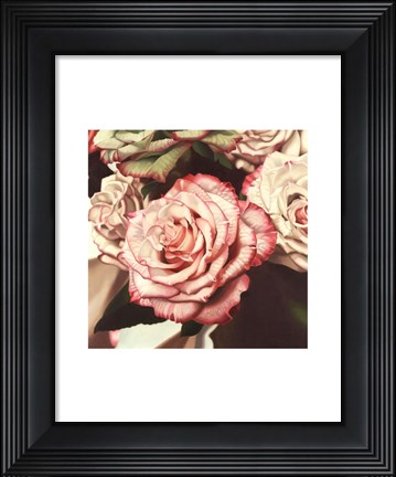 Framed Vintage Rose Print
