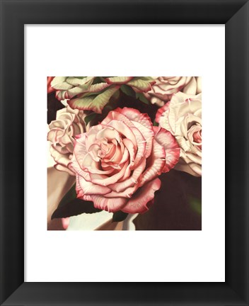 Framed Vintage Rose Print