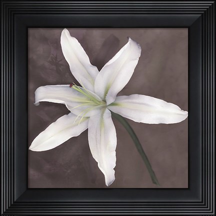 Framed White Lily Print