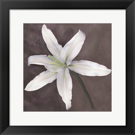 Framed White Lily Print