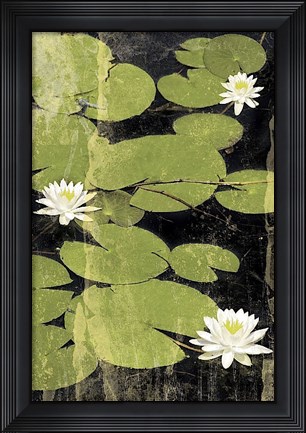 Framed Pond Blossoms Print