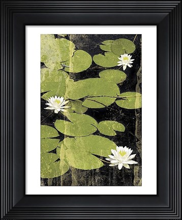 Framed Pond Blossoms Print