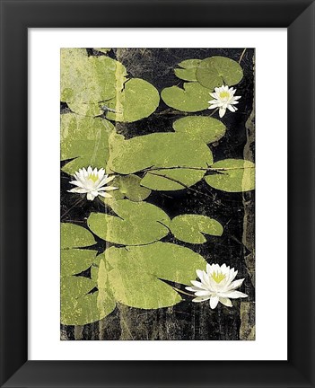 Framed Pond Blossoms Print