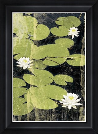Framed Pond Blossoms Print