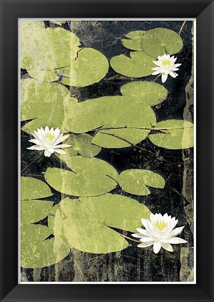 Framed Pond Blossoms Print