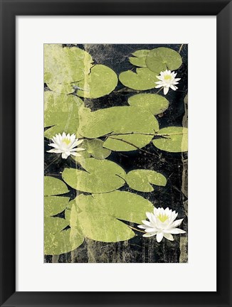 Framed Pond Blossoms Print