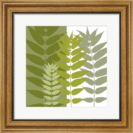 Framed Garden Greens Print